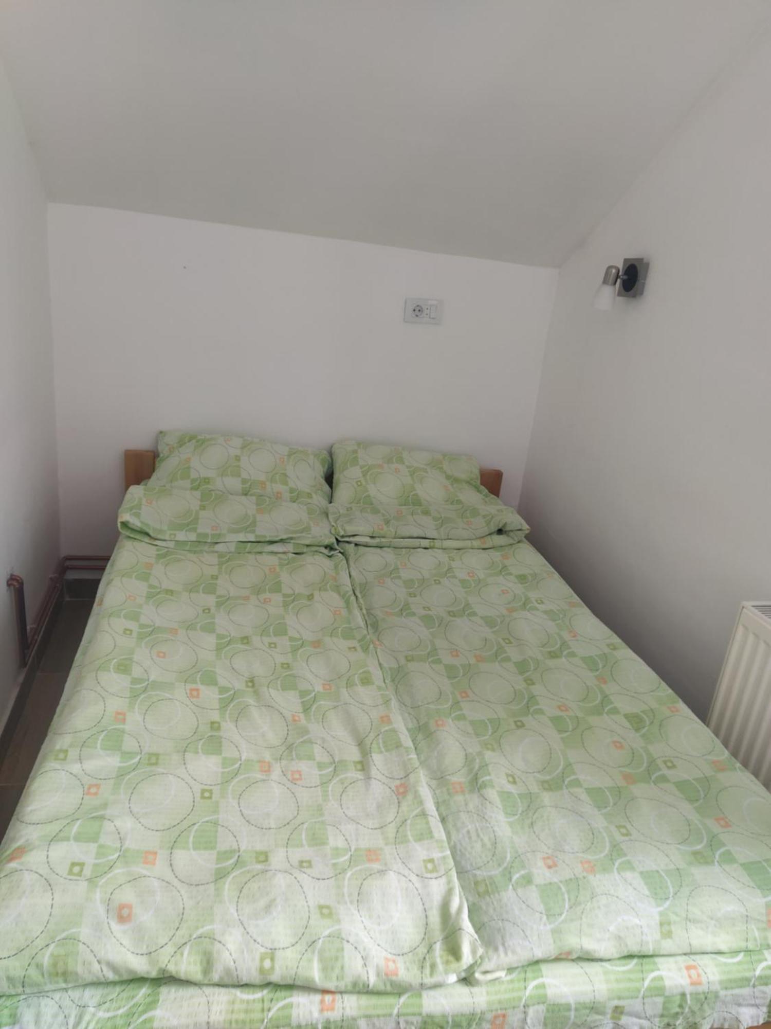 Crni Vrh Domacinstvo Kod Gere Bed & Breakfast 部屋 写真