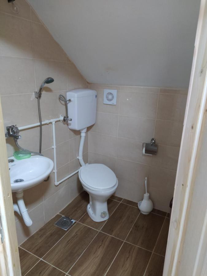 Crni Vrh Domacinstvo Kod Gere Bed & Breakfast エクステリア 写真